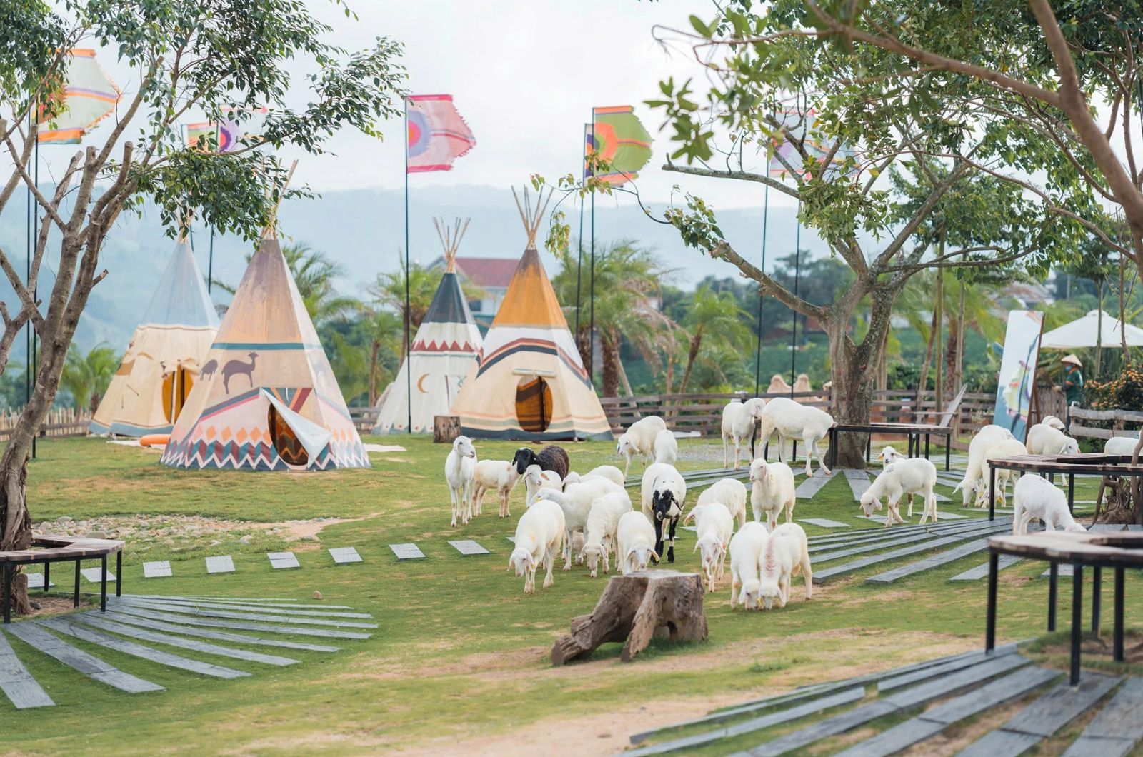 Vé tham quan bao gồm một số dịch vụ cơ bản  