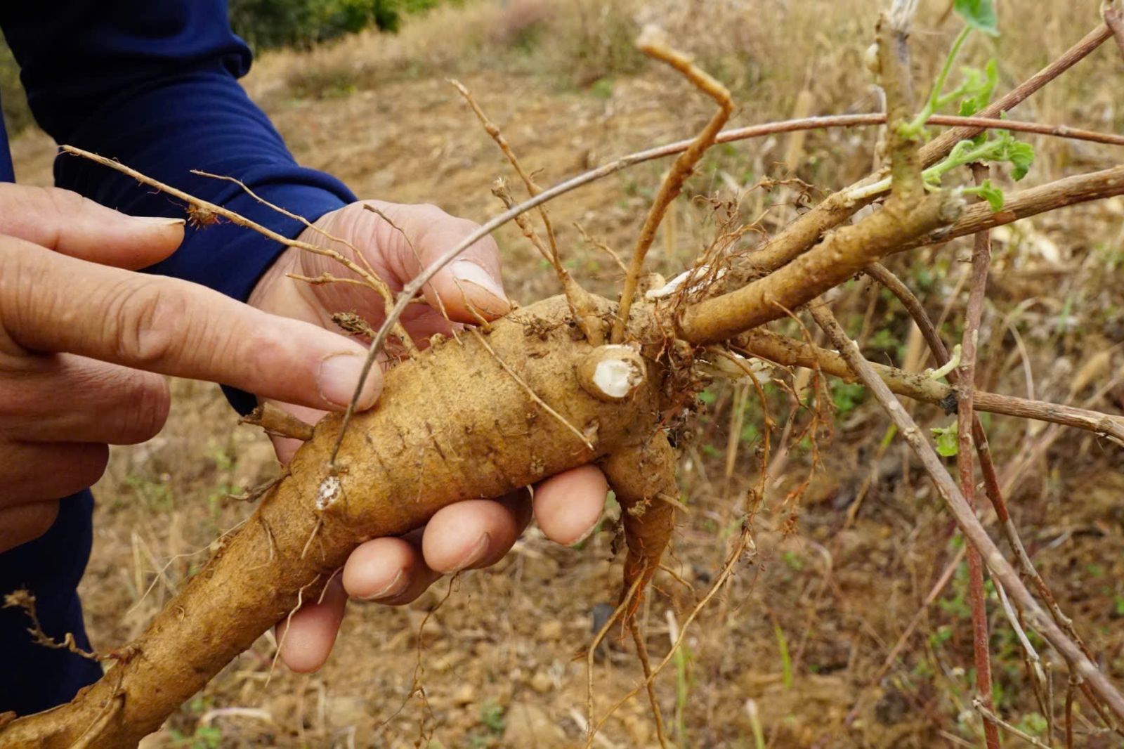 Việc lựa chọn mua sản phẩm uy tín tại Quảng Bình là vô cùng quan trọng