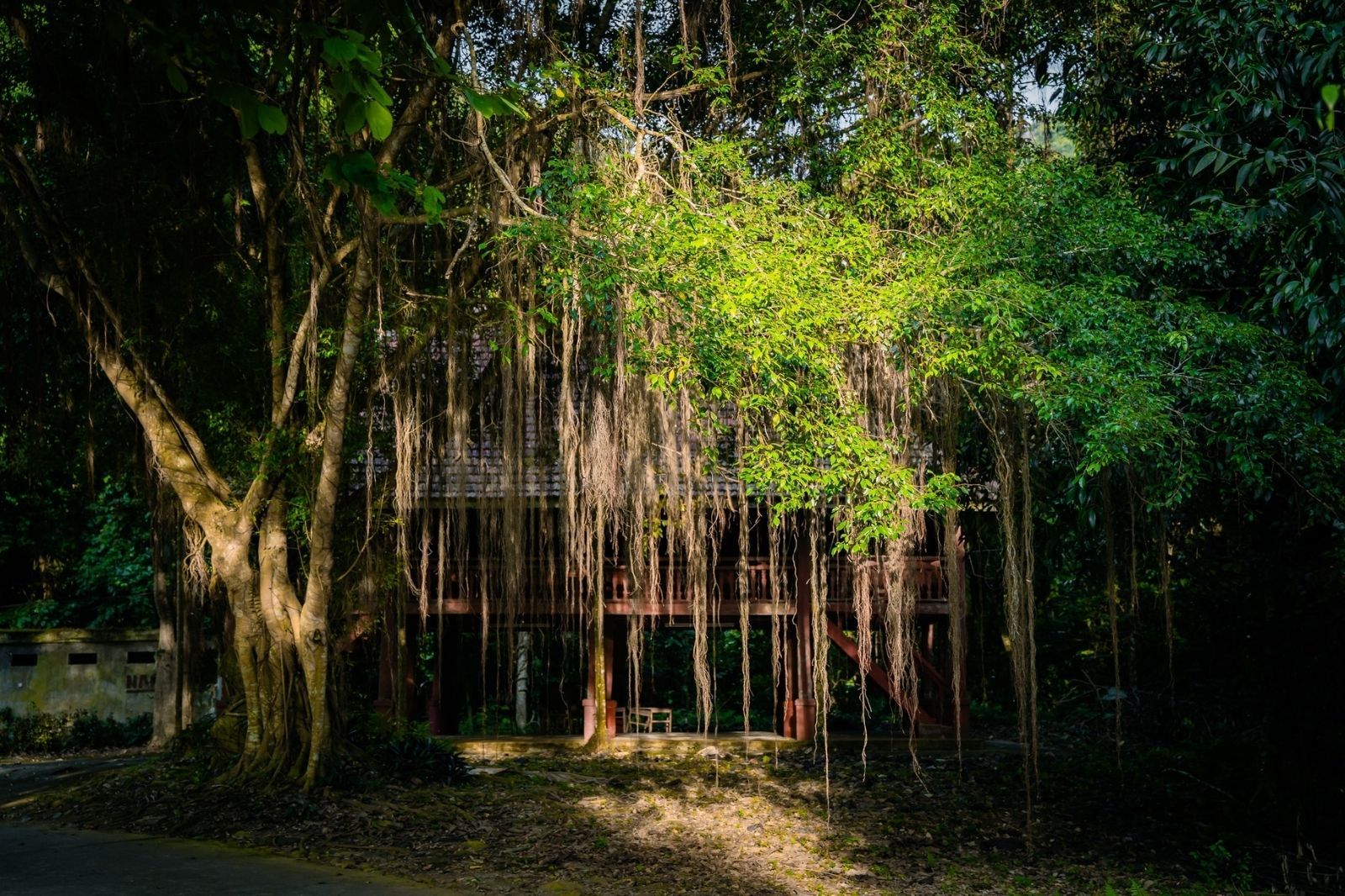 Vườn quốc gia Cúc Phương là nơi du khách có thể trải nghiệm nhiều hoạt động  