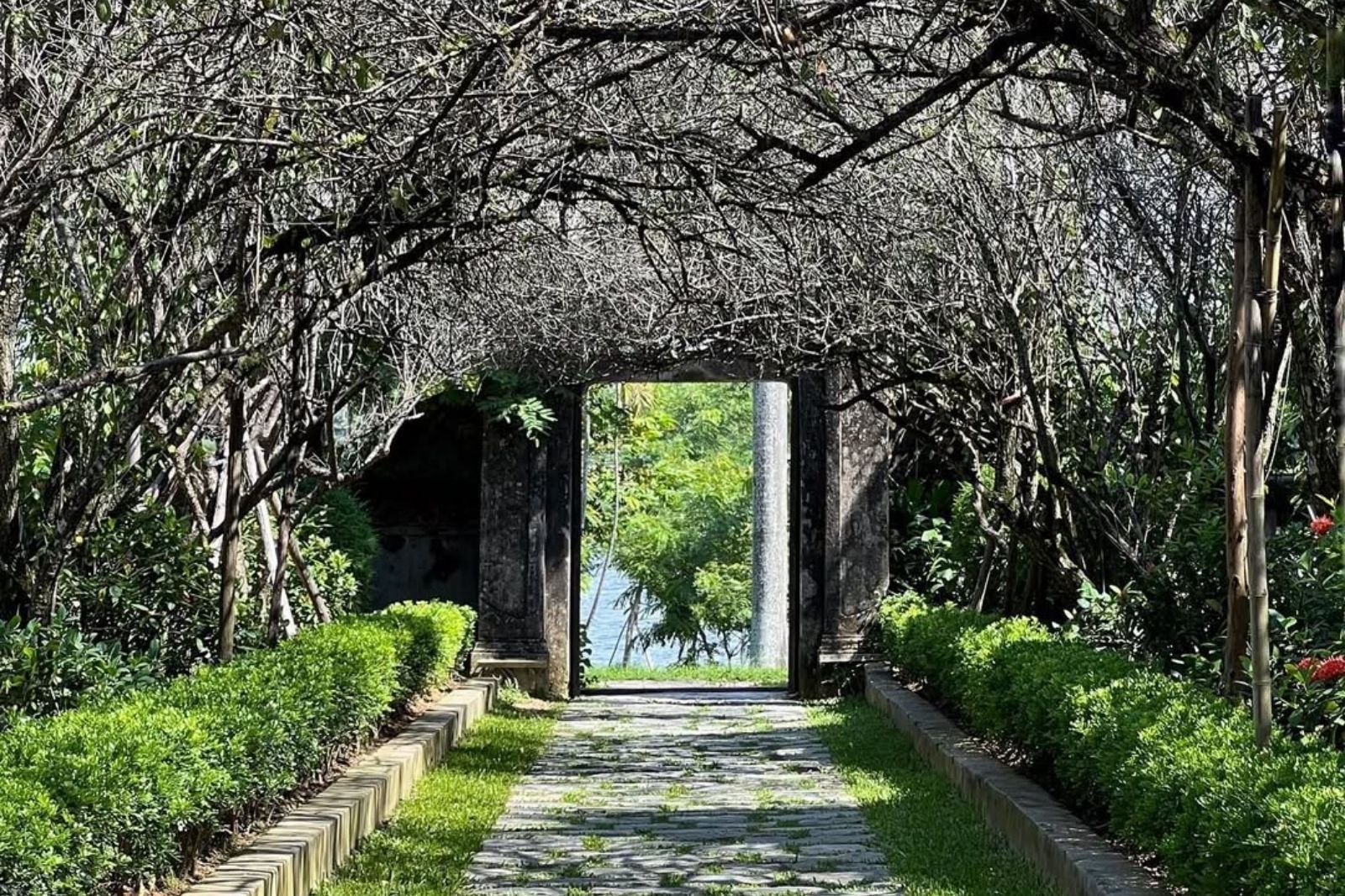 Vườn nhà được bố trí theo tuyến hoặc theo chức năng