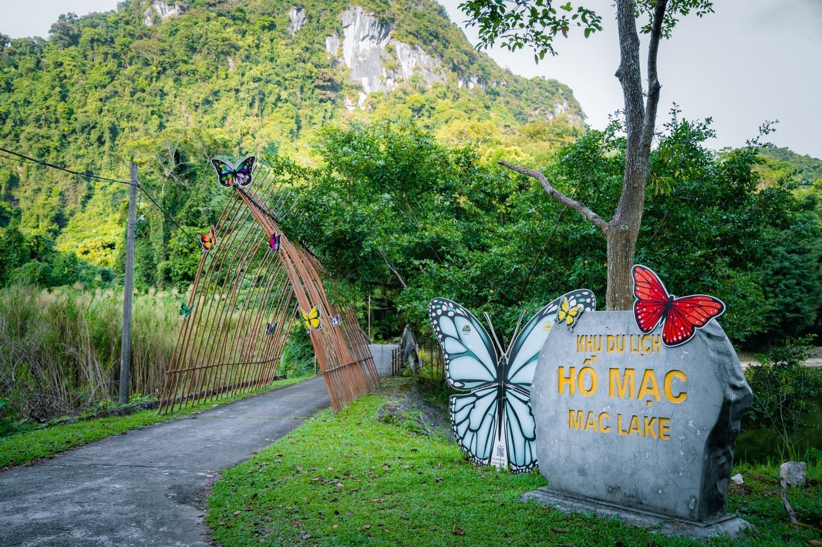 Vườn quốc gia Cúc Phương