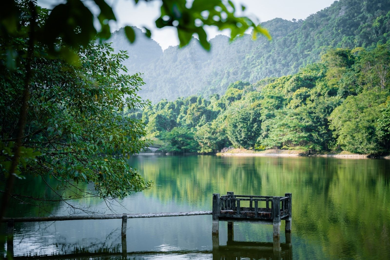 Vườn quốc gia Cúc Phương - Ninh Bình  