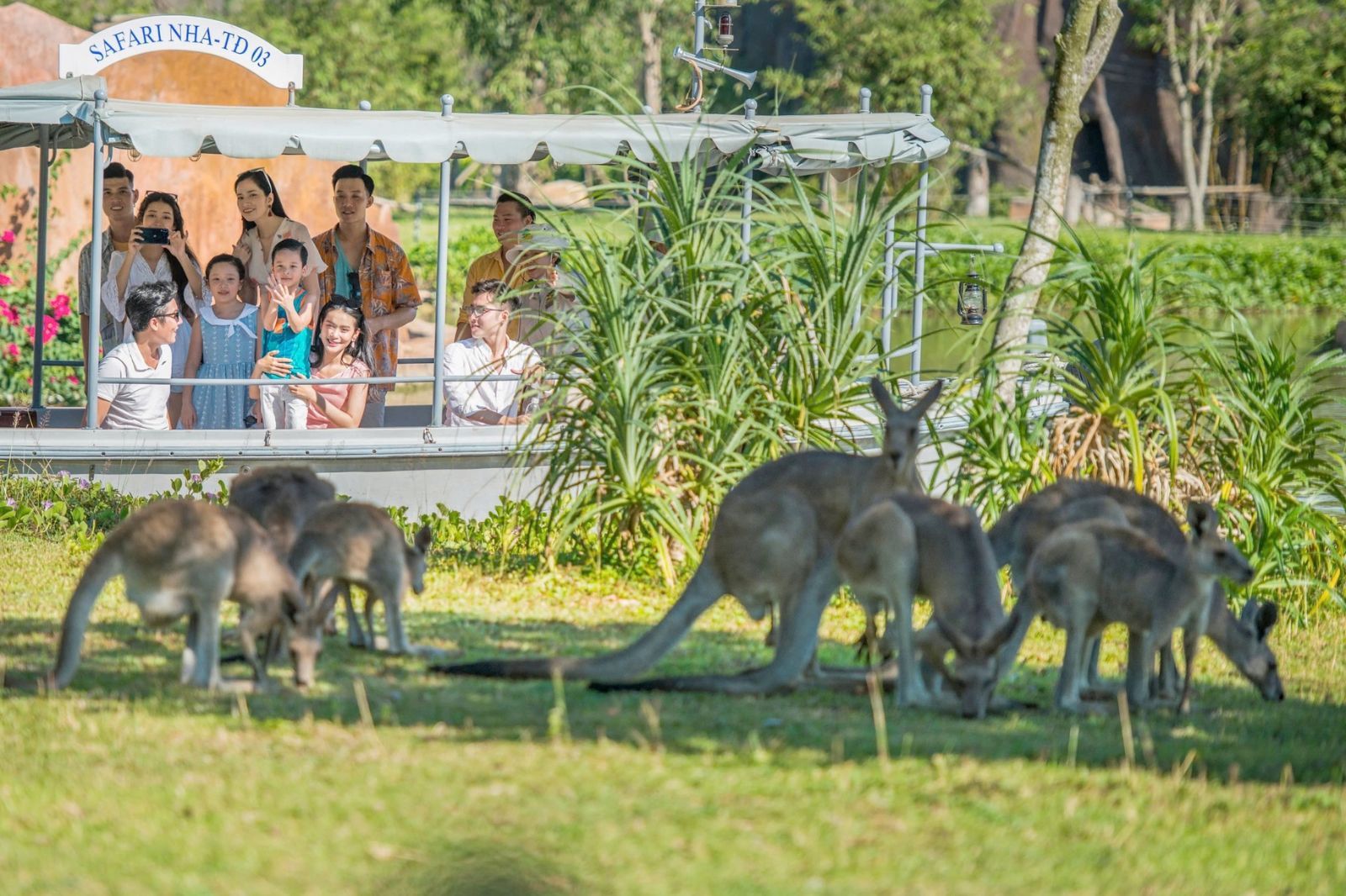 Vườn thú River Safari ở Vinwonders Nam Hội An 