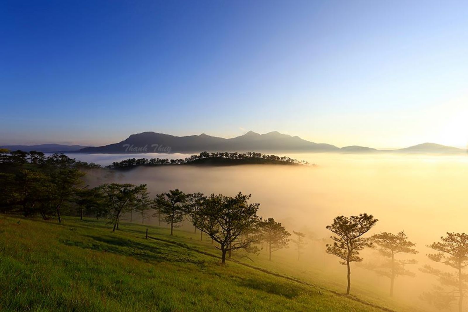 Xứ Sở Sương Mù Đà Lạt