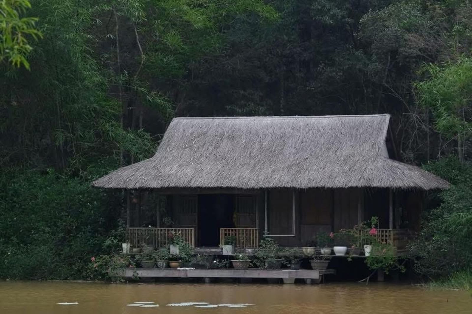 Xung quanh chùa là rừng thông và tre 